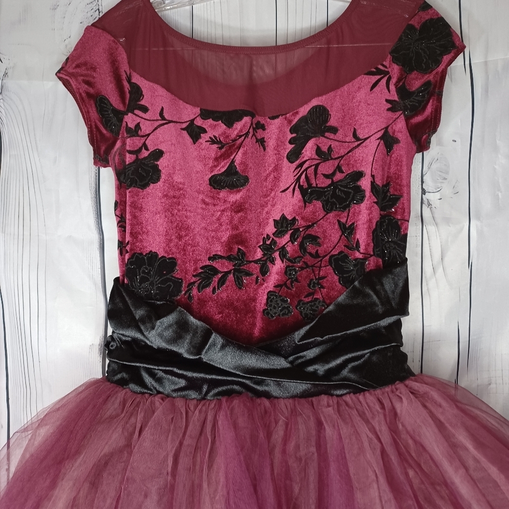 Weissman Dance Costume - image 3